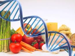 image of food and DNA strand