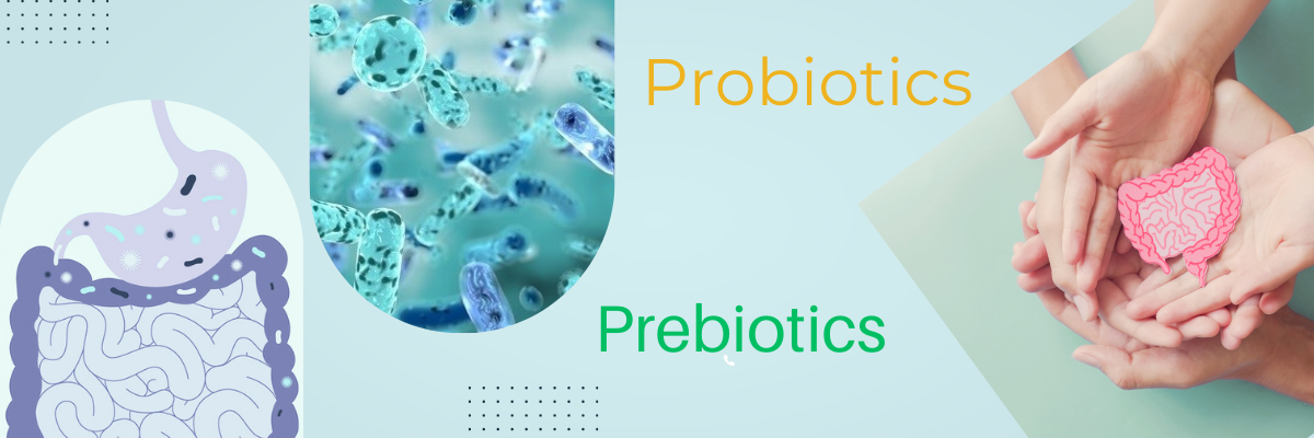 The Essential Role Of Probiotics, Prebiotics and Postbiotics for a well ...