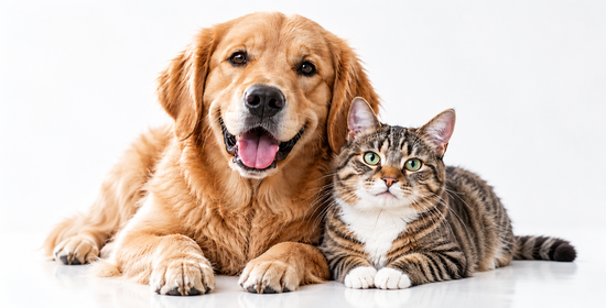Pet Supplement